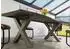 Massivmoebel24 Freeform 5 Baumkantentisch Mango 220x100x77cm grau / X-Beine silber (09-112-844-2915)