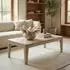 Wohnling Couchtisch Mangoholz massiv, weiß, 120x60x40cm (WL7.587)