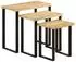 vidaXL Satztische mit Baumkante 3er-Set Mango Massivholz (372762)