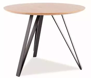 Feldmann-Wohnen Tetis Esstisch 100x100x76cm, Eiche schwarz (86430390)