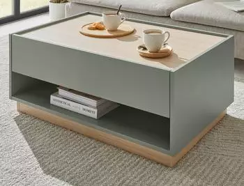 Furn.Design Center Couchtisch salbeigr&uuml;n/Eiche, 90x60cm, 1 Schublade (800001396529)