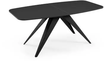 Feldmann-Wohnen Ferro Esstisch ausziehbar, rechteckig, schwarz, Metall (180/220x90cm)