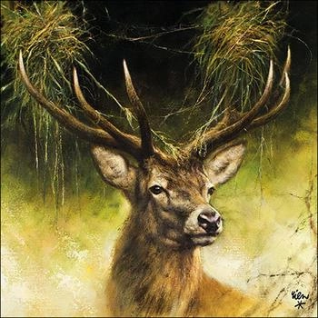 ShooterKing Zelltuch Servietten Hirschkopf (8712159148138)