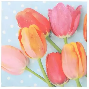 Papstar Bella Tulipa Papierservietten 3-lagig 33x33cm, 300 St&uuml;ck (37005)