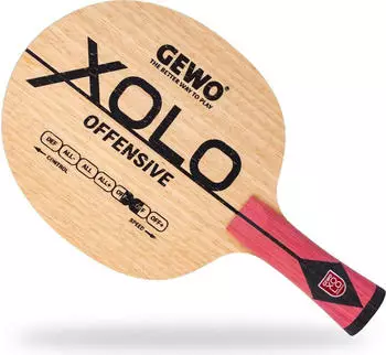 Gewo Holz Xolo Offensive konkav