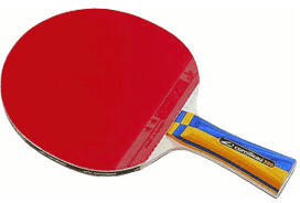 Cornilleau Sport 300 Gatien