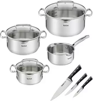 Tefal Duetto+ Ice Force Topfset Edelstahl