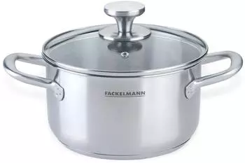 Fackelmann Kochtopf mit Deckel Ovalgriff &Oslash;20cm 3L Edelstahl (66166)