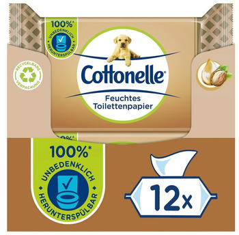 Hakle Cottonelle Mein Spa Erlebnis feuchtes Toilettenpapier (12 x 42 Stk.)