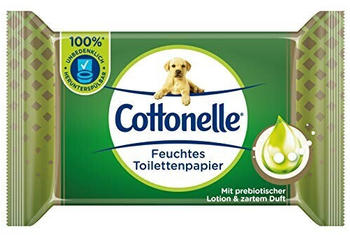 Hakle Cottonelle Wohltuende Sauberkeit feuchtes Toilettenpapier mit Aloe Vera (38 Stk.)