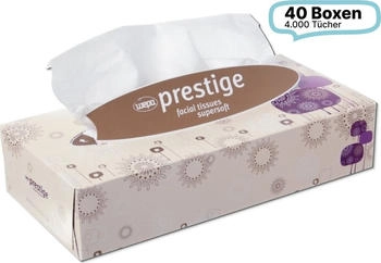Blanc Hygienic Kosmetiktücher, 2-lagig, 40 Boxen, 4000 Tücher gesamt, 100Blatt /Box, 100% Zellstoff, 21x21cm - GD-292121