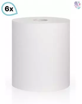 Blanc Hygienic Handtuchrollen Handtuchpapier f&uuml;r g&auml;ngige Handtuchrollenspender 6 Rollen 2-lagig 140m je Rolle