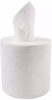 Hygostar Papierhandtuchrolle Innenabwcklung RC 1-lagig DM 19cm wei&szlig;lich VE=6 Rollen