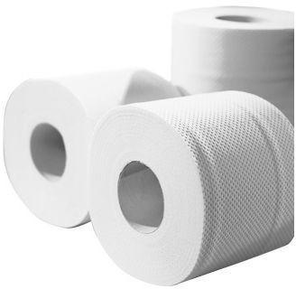 CWS-boco Recycling Natur Toilettenpapier 2-lagig (48 Rollen)
