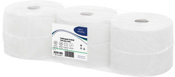 Satino Toilettenpapier 2-lagig 029180 weiß (6 Stk.)