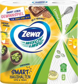 Zewa Wisch & Weg Fun Design Küchenrollen 2-lagig (2 Stk.)