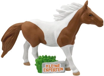 Tonies KLE!NE EXPERTEN ... galoppieren mit Pferden