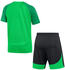 Nike Academy Pro Dri-Fit Trainingsset Kids (DH9484) green spark/lucky green/white
