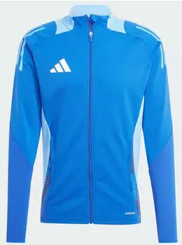 Adidas Man Tiro 24 Competition Training Jacket (IP1876) royal blue