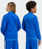 Adidas Kids Adicolor SST Originals Jacket (IY1583) blue