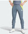 Adidas Man Tiro 24 Training Pants (IV6945) team onix/team semi sol yellow