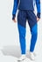 Adidas Tiro 24 Competition Winterized Pant W (IY0118) team navy blue/royal blue