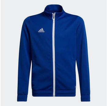 Adidas Entrada Trainingsjacke Kinder royblu