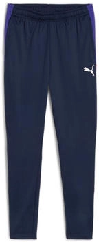 Puma IndividualLIGA Trainingshose club navy