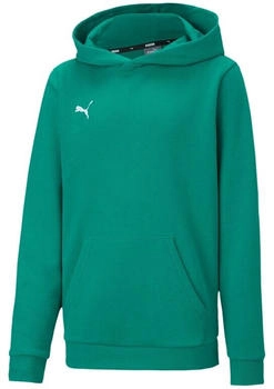 Puma teamGOAL Casuals Hoodie Kinder gr&uuml;n