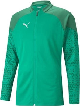 Puma teamCUP Training Jacket 657983-05 pfeffer grün