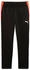 Puma individualLIGA Trainingshose (Herren)