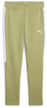 Puma teamEvostripe Trainingshose calming green puma silver puma white