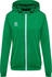 Hummel Trainingsjacke hmlAuthentik PL Zip Hoodie 219981-6235 jelly bean