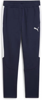 Puma teamEVOSTRIPE Pants grau