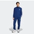 Adidas Basic 3-Stripes Track Suit