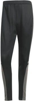 Adidas Herren Trainingshose Squadra 25 JD1625 Black/Team Grey Four/Ruby