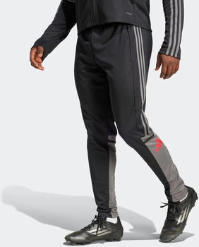 Adidas SQ25 TR PNT Trainingshose schwarz team grau ruby