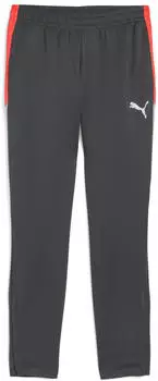 Puma individualLIGA Trainingshose Herren gray (659517_10)