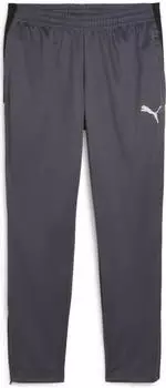 Puma individualLIGA Trainingshose Teenager Grau Gray (659518_08)