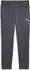 Puma individualLIGA Trainingshose Teenager Grau Gray (659518_08)