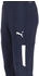 Puma teamLIGA Training Pants Pro (657332) dunkelblau/weiß