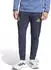 Adidas Tiro Travel Trainingshose (JZ6314) blau