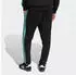 Adidas MERCEDES AMG PETRONAS FORMULA 1 TEAM DNA HOSE Black / Semi Mint Rush (KE5913)