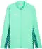 Puma teamLIGA26 Trainingsjacke grün