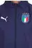 Puma FIGC Coach Sweat Jacke (767068-04)