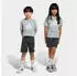 Adidas Essentials T-Shirt + Shorts Set Kinder (KD6004) wonder sage/weiß