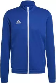Adidas Man Entrada 22 Trainingsjacke (HG6287) team royal blue
