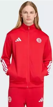 Adidas FC Bayern München DNA Trainingsjacke Better Scarlet / White (KG2569)