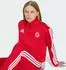 Adidas FC Bayern München DNA Trainingsjacke Better Scarlet / White (KG2569)