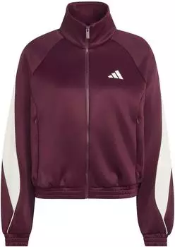 Adidas Stadium Training Jacket maroon/ivory